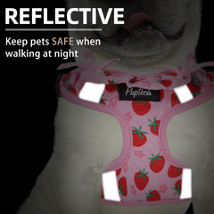 PUPTECK dog harness leash attachment image shows sturdy D-ring for secure control.