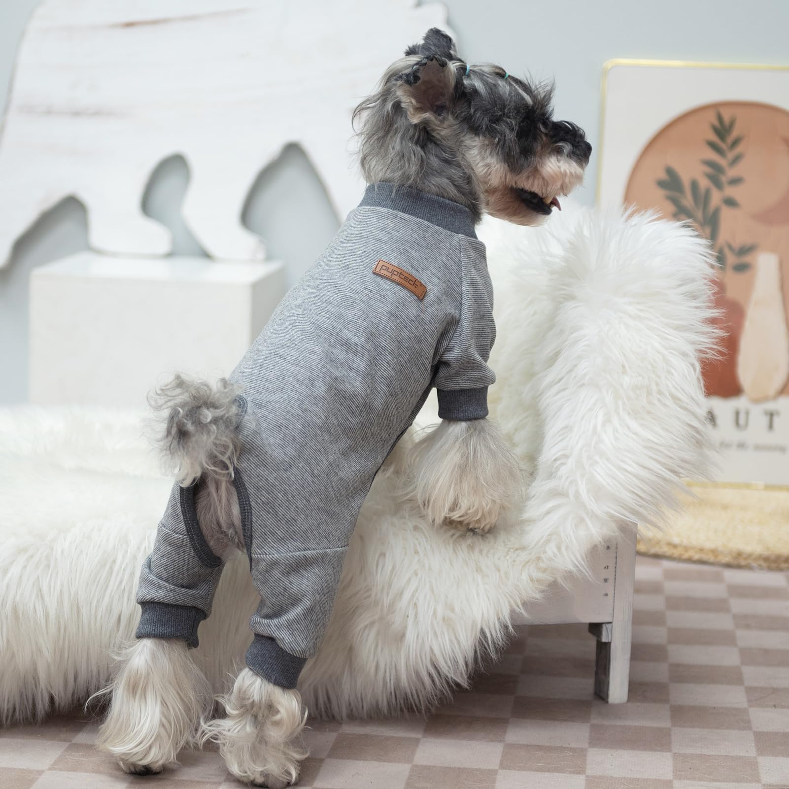 PUPTECK dog pajamas available in multiple colors for stylish indoor wear.