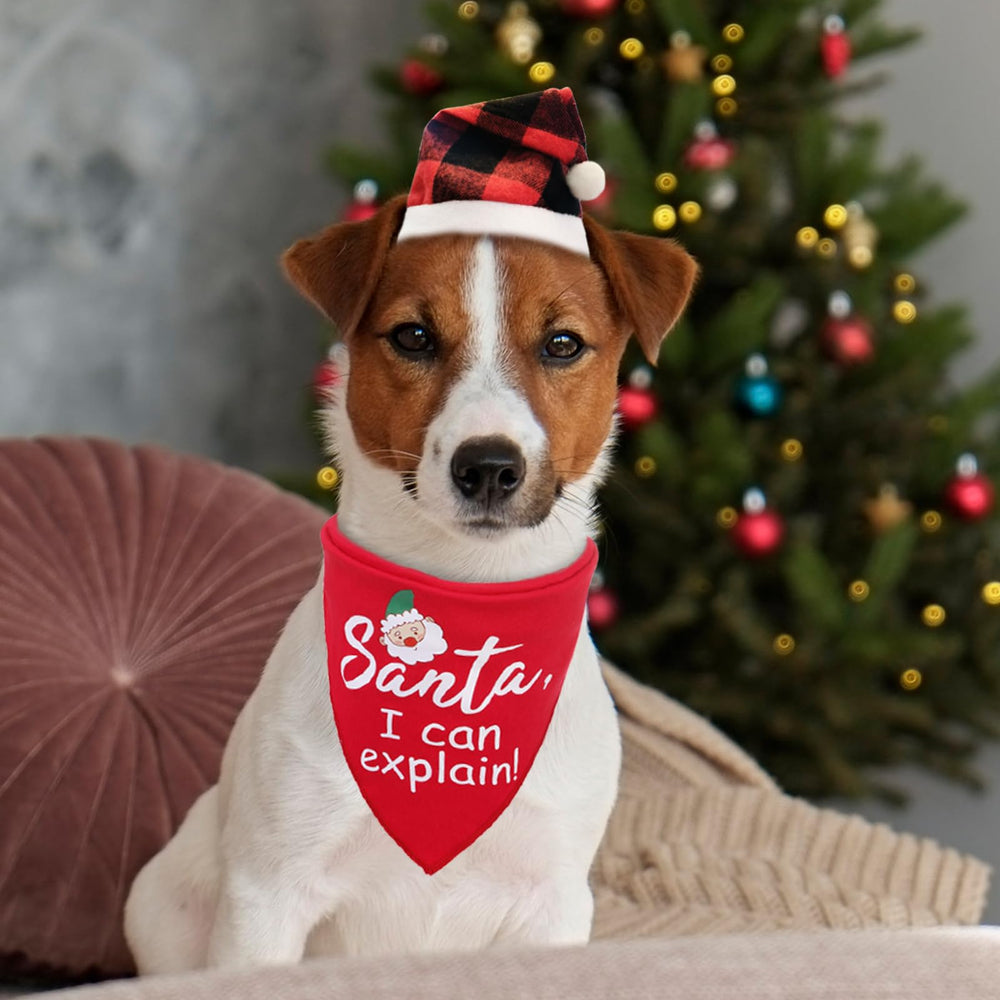 PUPTECK multi-breed-ready look for family photos and gifts.