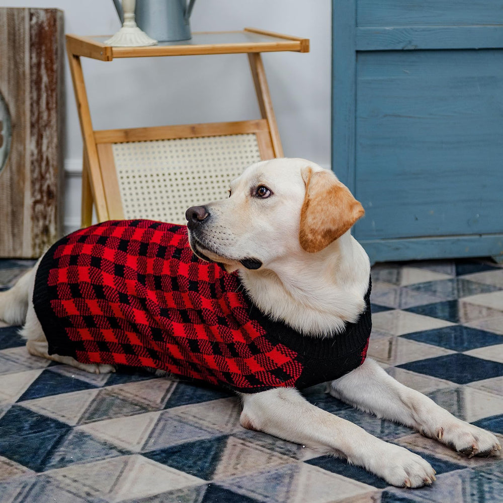 PUPTECK on-dog walk image proves comfortable, easy dressing for cold strolls.