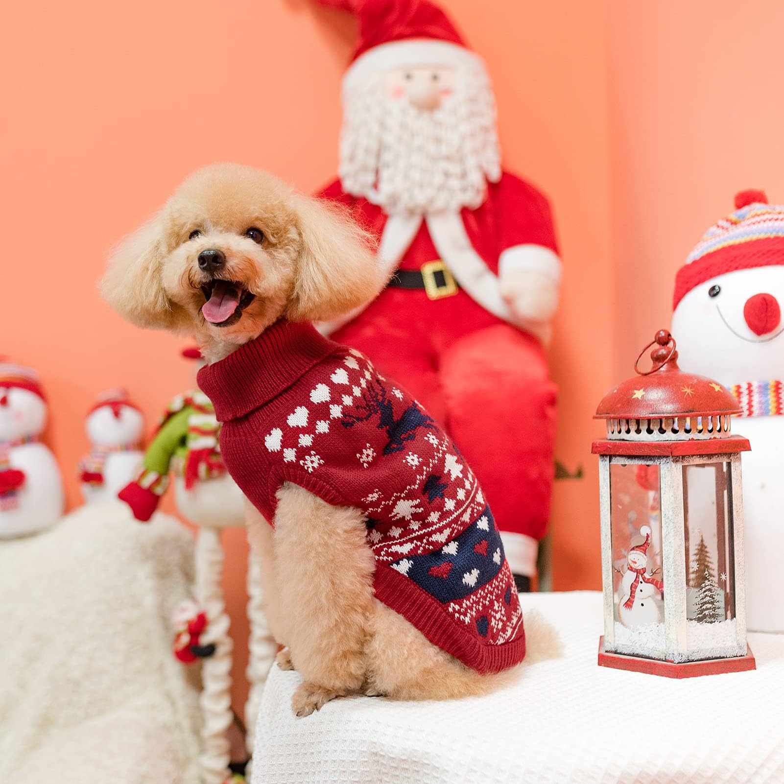 PUPTECK perfect for winter walks and holiday photos.