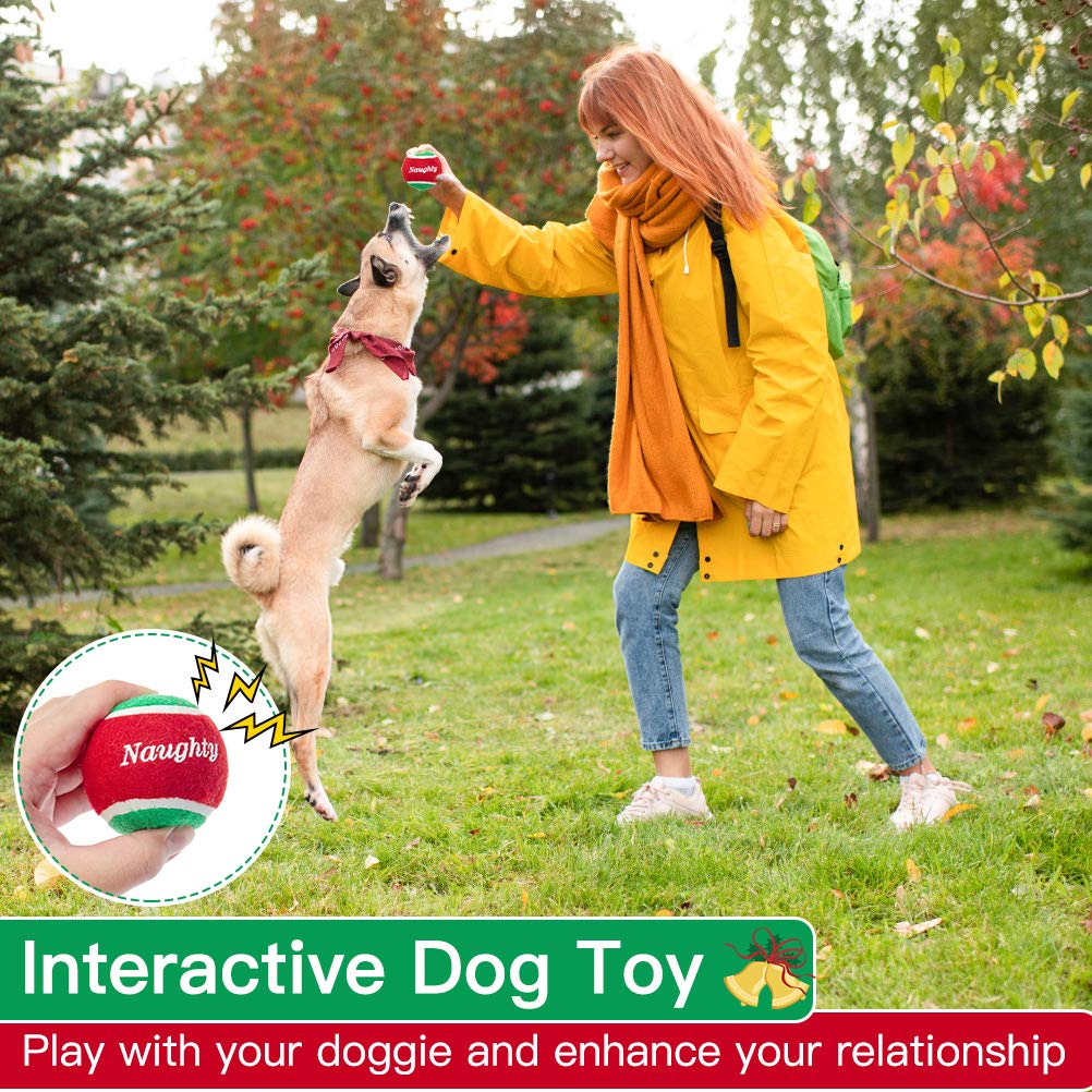 PUPTECK durable bounce ball supports energetic training sessions.