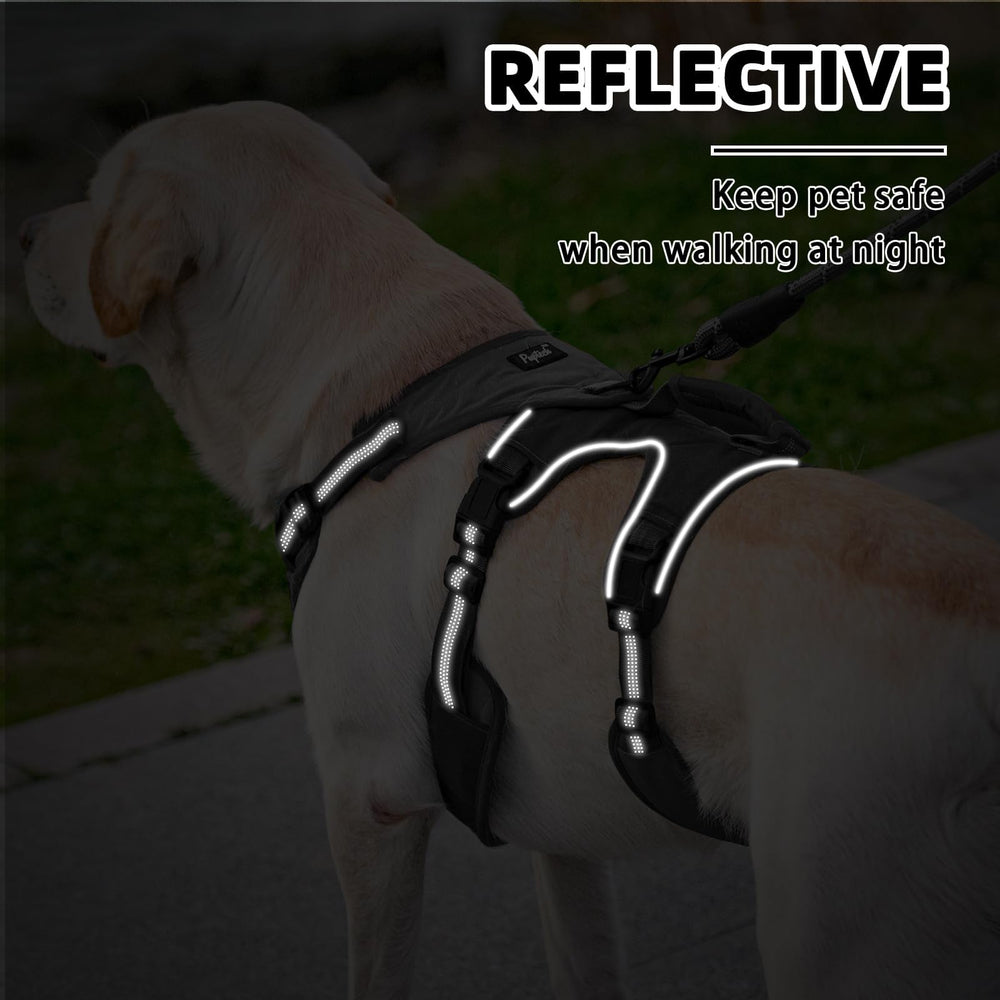 PUPTECK escape-proof leash reflective durable design for nighttime visibility