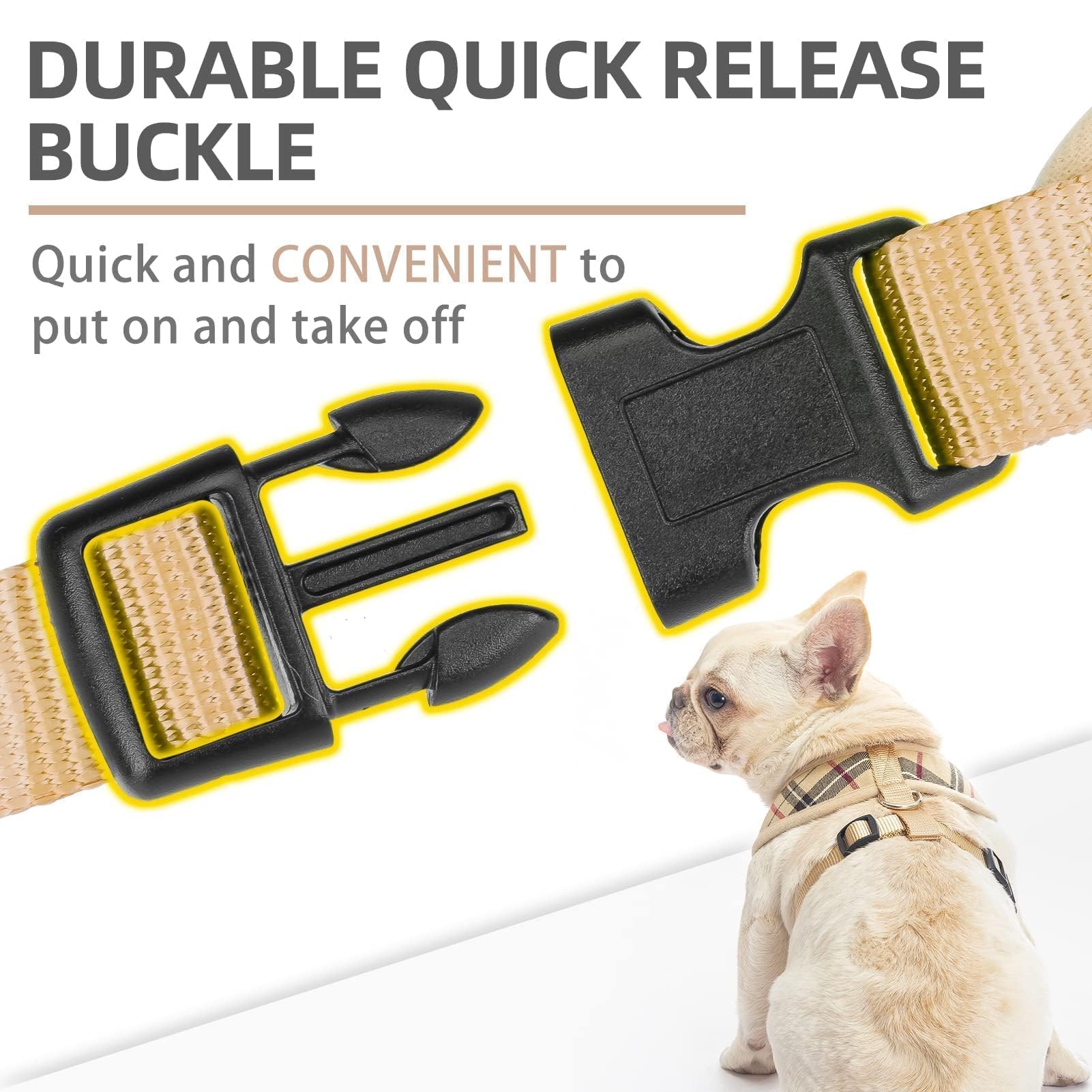 PUPTECK four-season harness stays comfy for dogs year-round.