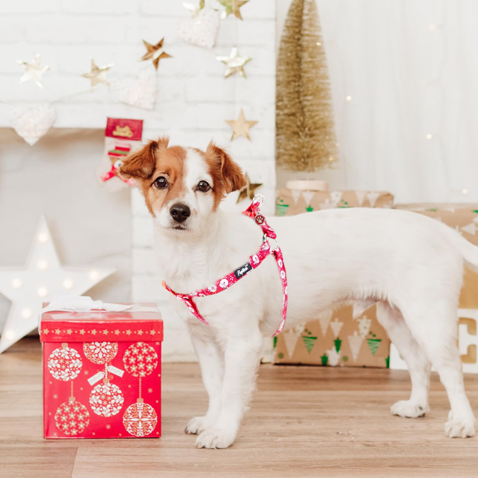 PUPTECK ID tag detail image shows paw pattern and durable metal tag.