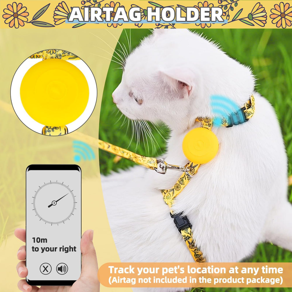 PUPTECK leash-59inch-extended demonstrates generous reach for relaxed outdoor exploration.