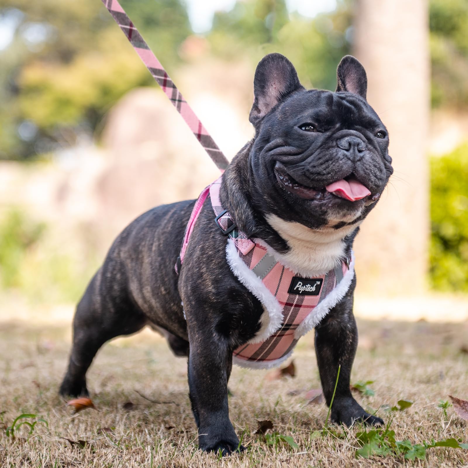 PUPTECK leash connects to double D-rings for secure control.