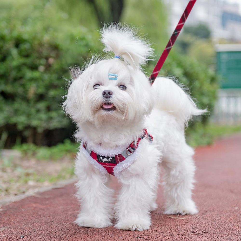PUPTECK leash-double-d-rings-attachment offers secure leash connection and reduced tangling risks