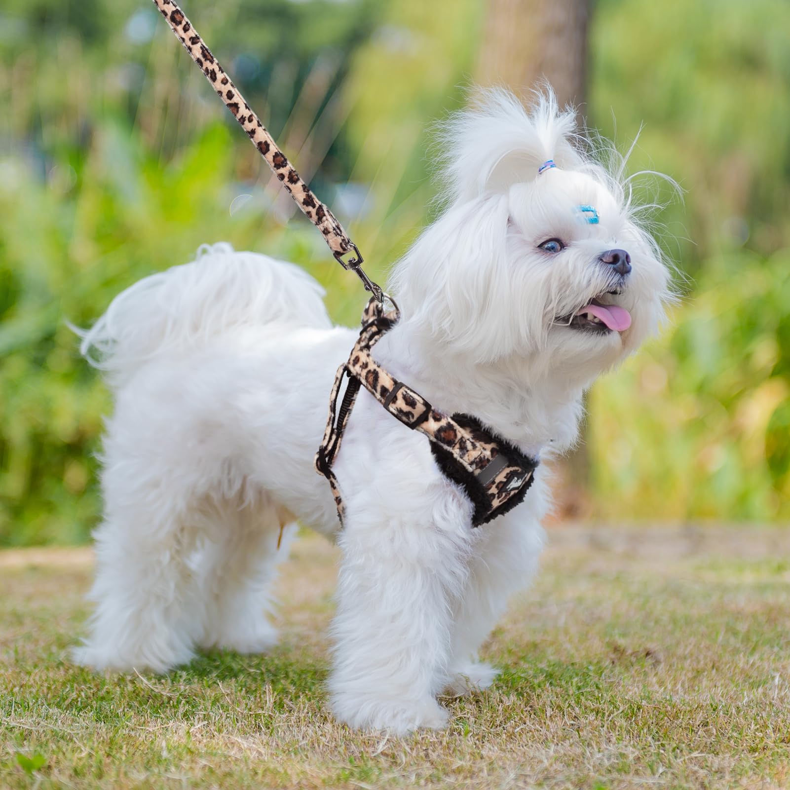 PUPTECK leash connection with double D-rings stays secure.