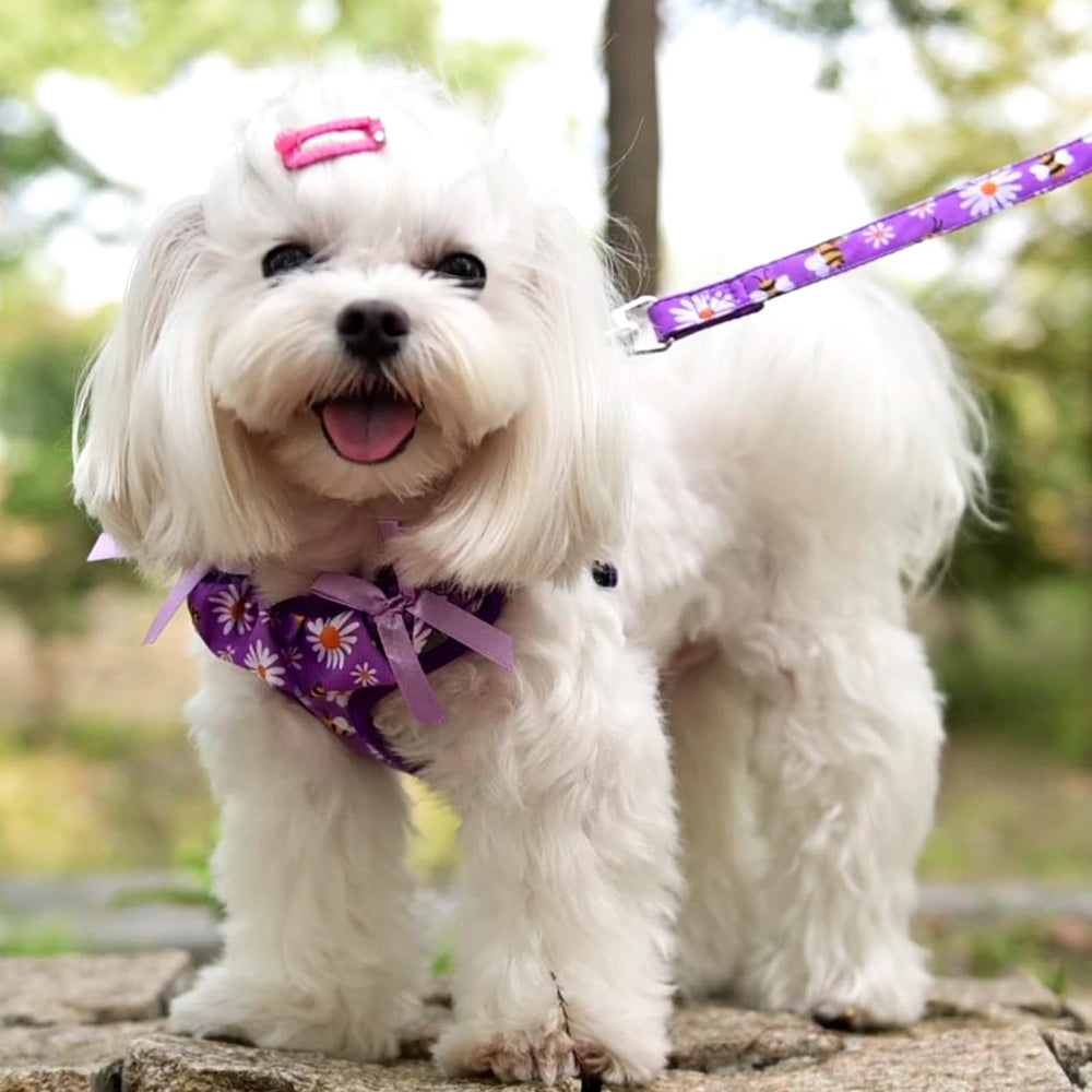 PUPTECK leash with double D-rings for dependable leash attachment