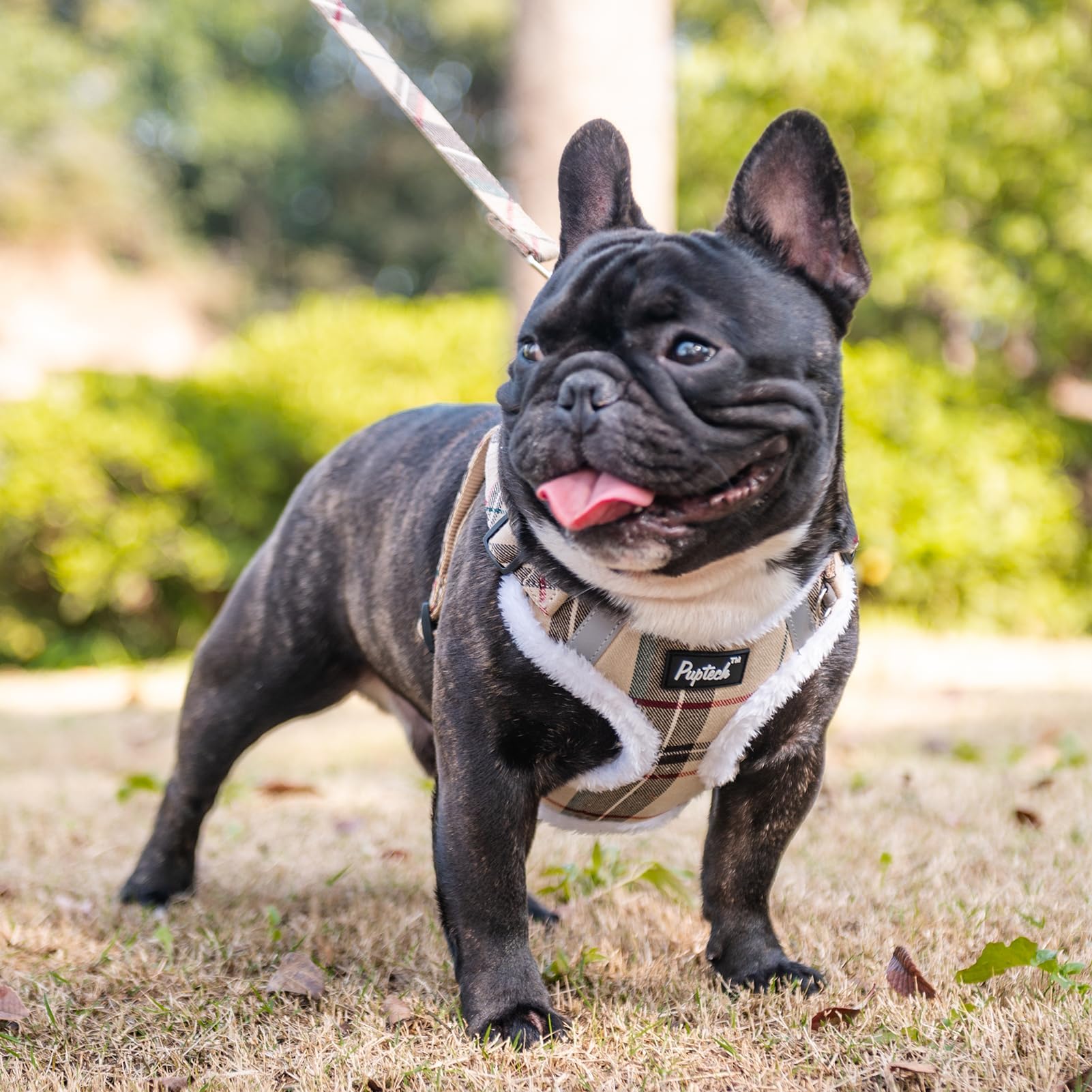 PUPTECK leash set with dual D-rings for secure attachment