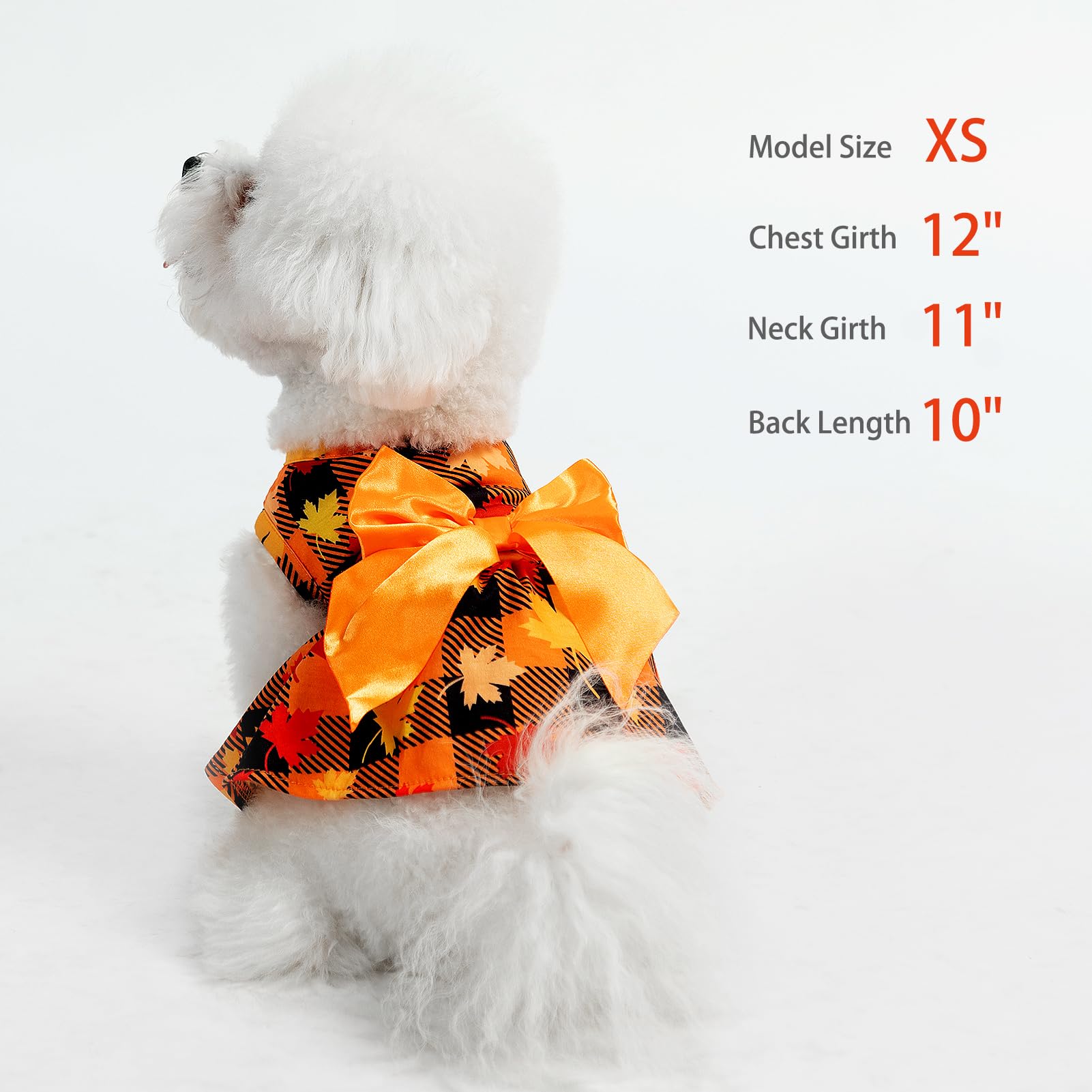 PUPTECK modelo-puesto en perrito para uso diario