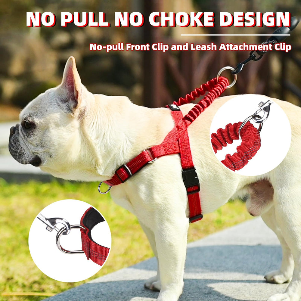 PUPTECK No Pull Harness back D-ring reveals versatile attachment for daily outings