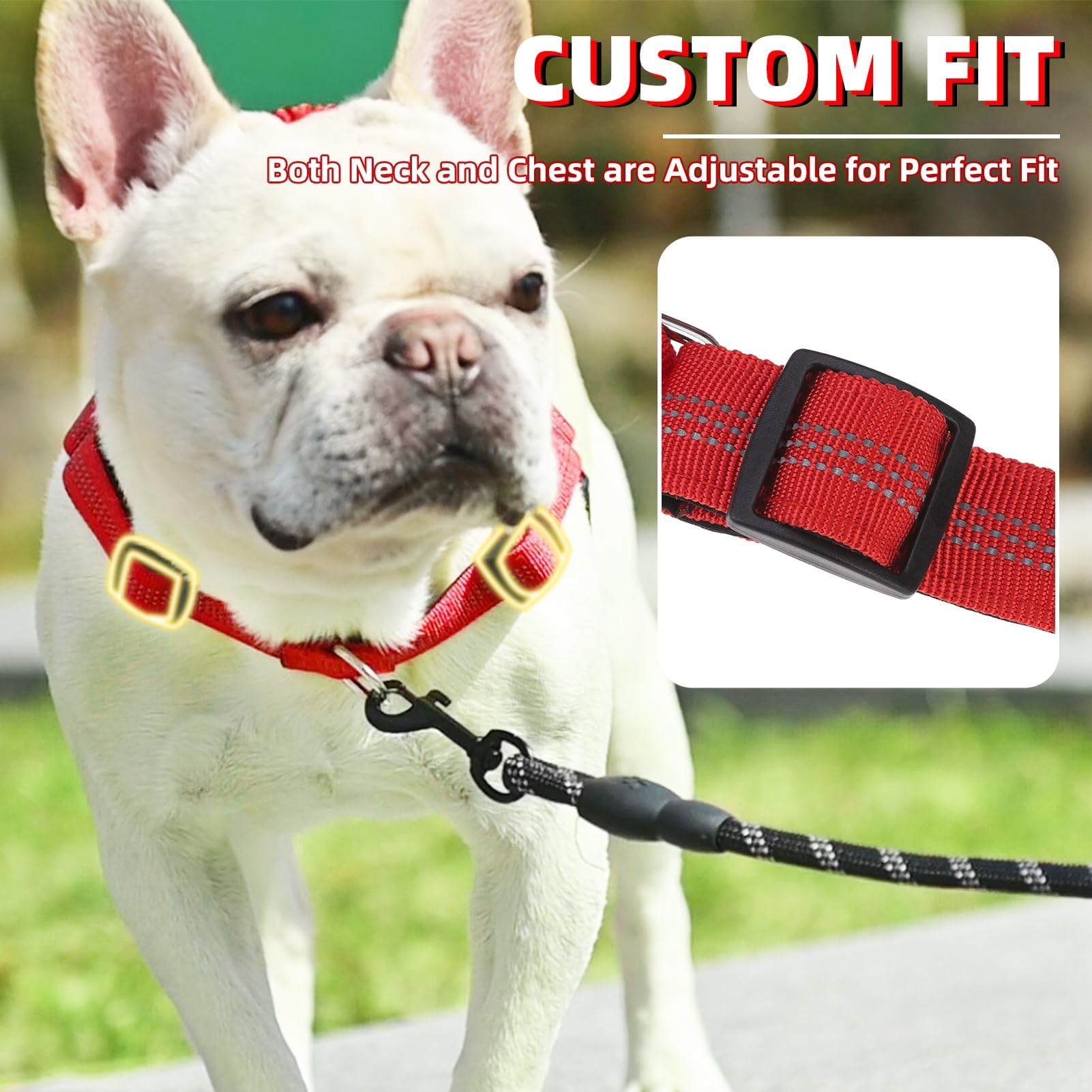 PUPTECK No Pull Harness with bungee handle demonstrates shock absorption during training