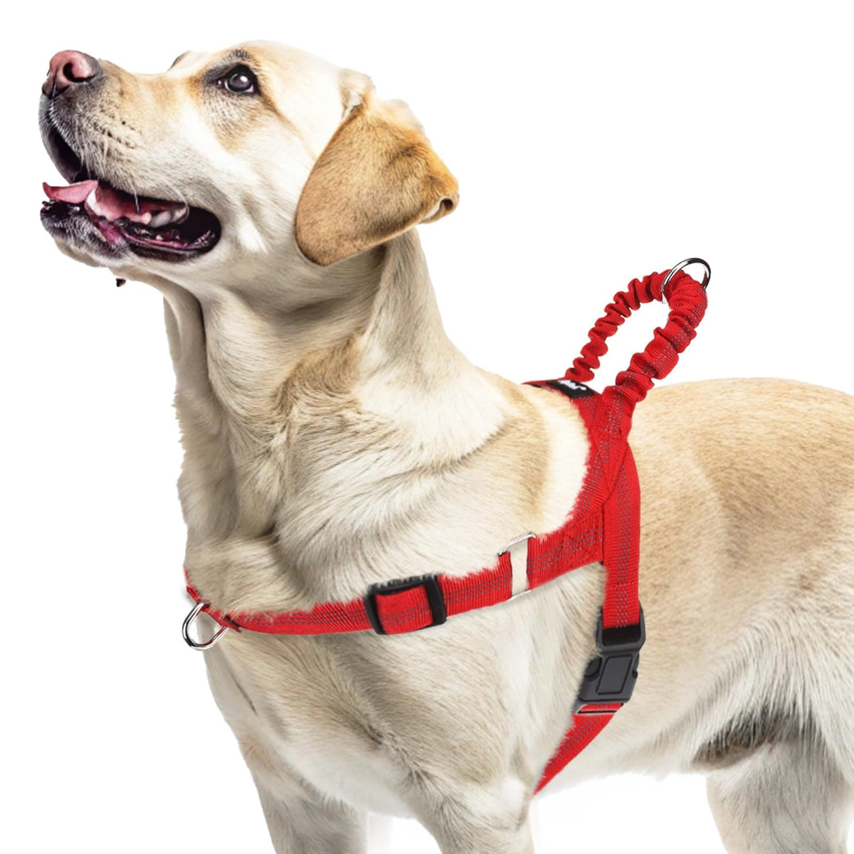 PUPTECK No Pull Harness large dog front view for secure control during daily walks