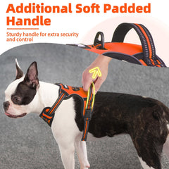 PUPTECK No Pull Harness back D-ring supports relaxed movement during leash time.