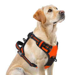 PUPTECK No Pull Harness front D-ring for safer daily walks and controlled pulling.
