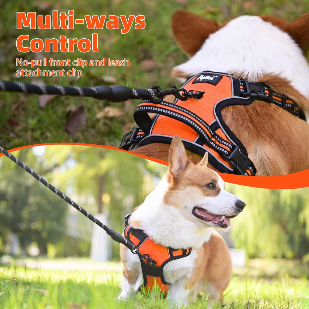 PUPTECK No Pull Harness easy-to-grip handle aids car entry and quick control.