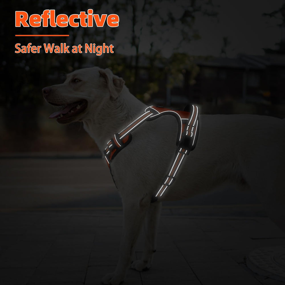 PUPTECK No Pull Harness soft padding reduces rubbing on long walks.