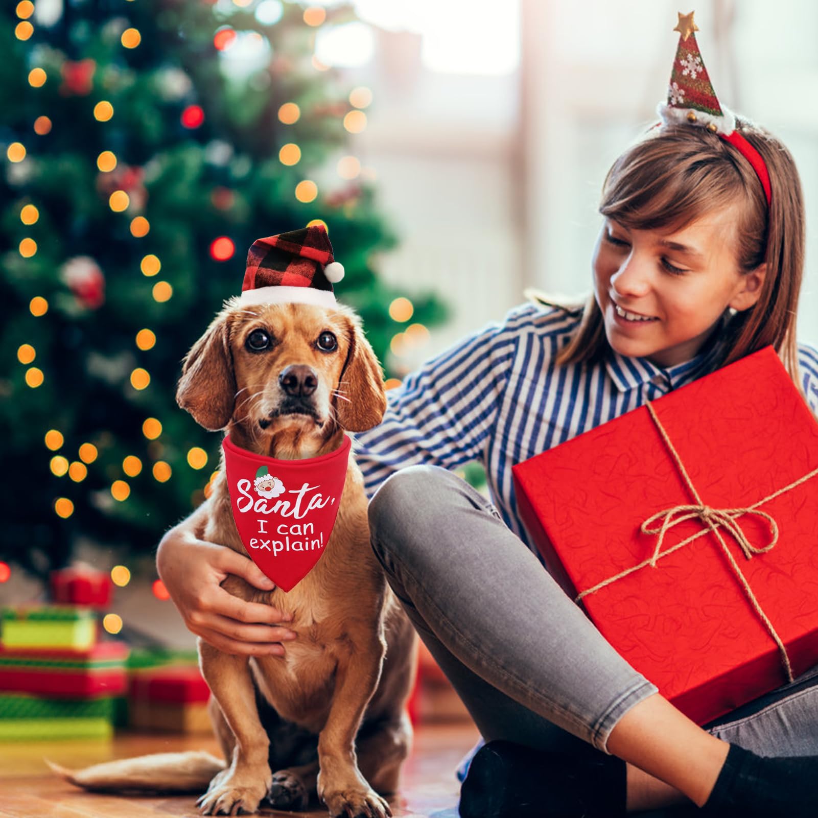 PUPTECK holiday-ready look helps dogs stand out at events.