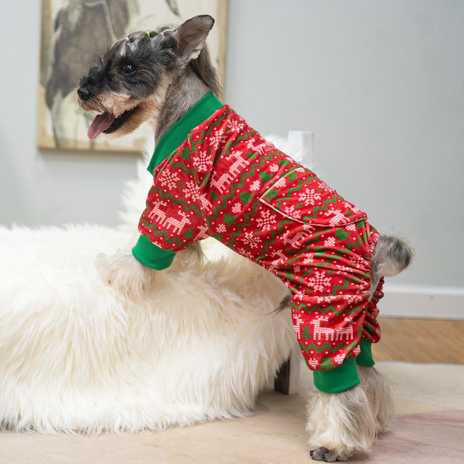 PUPTECK pajamas being machine-washed with care, simple care instructions.