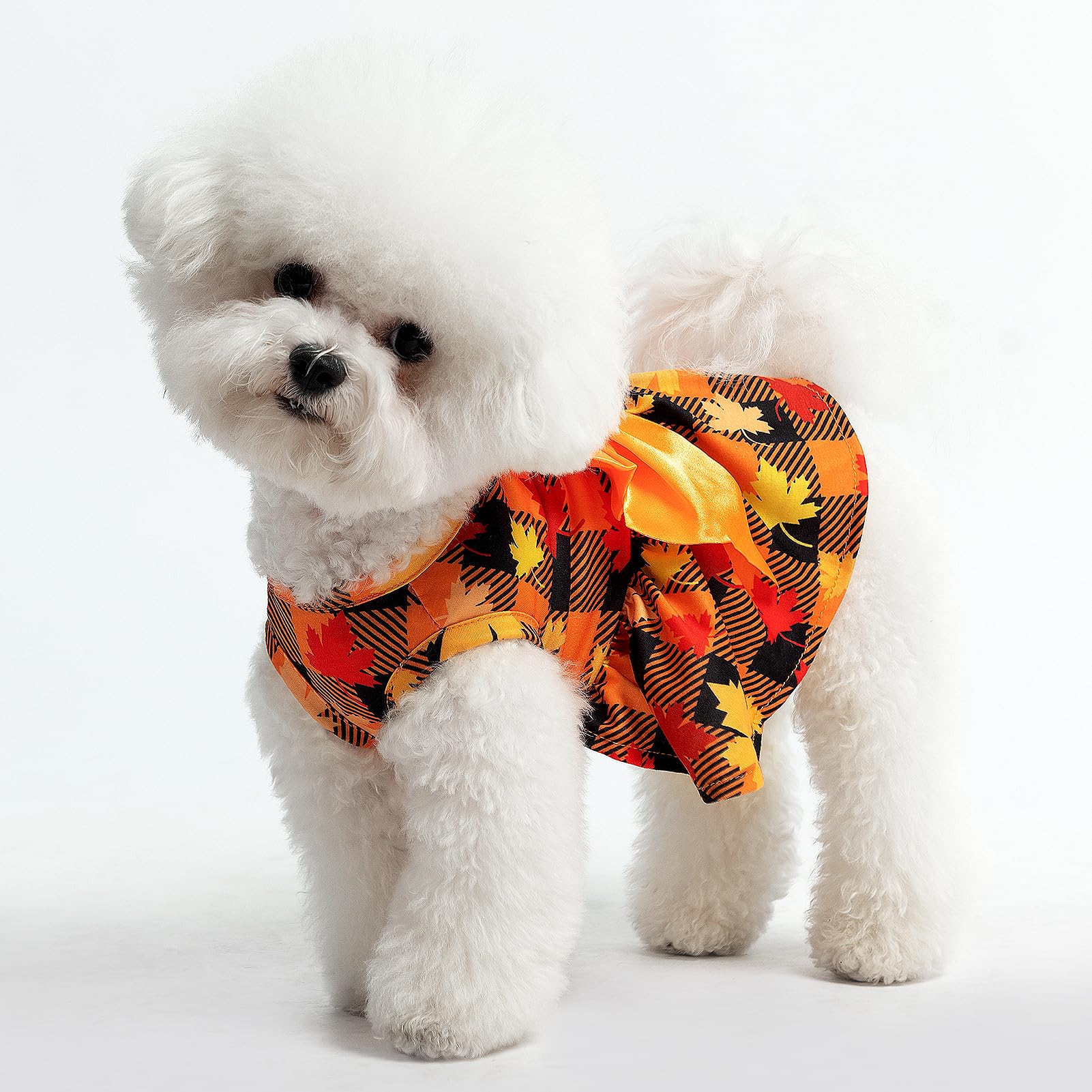PUPTECK puppy outfit suitable for daily wear and parties