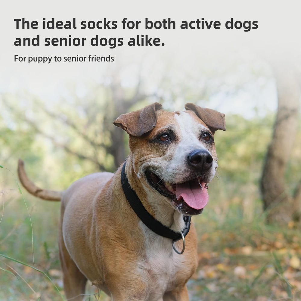 PUPTECK senior dog use indoors for stability and confidence
