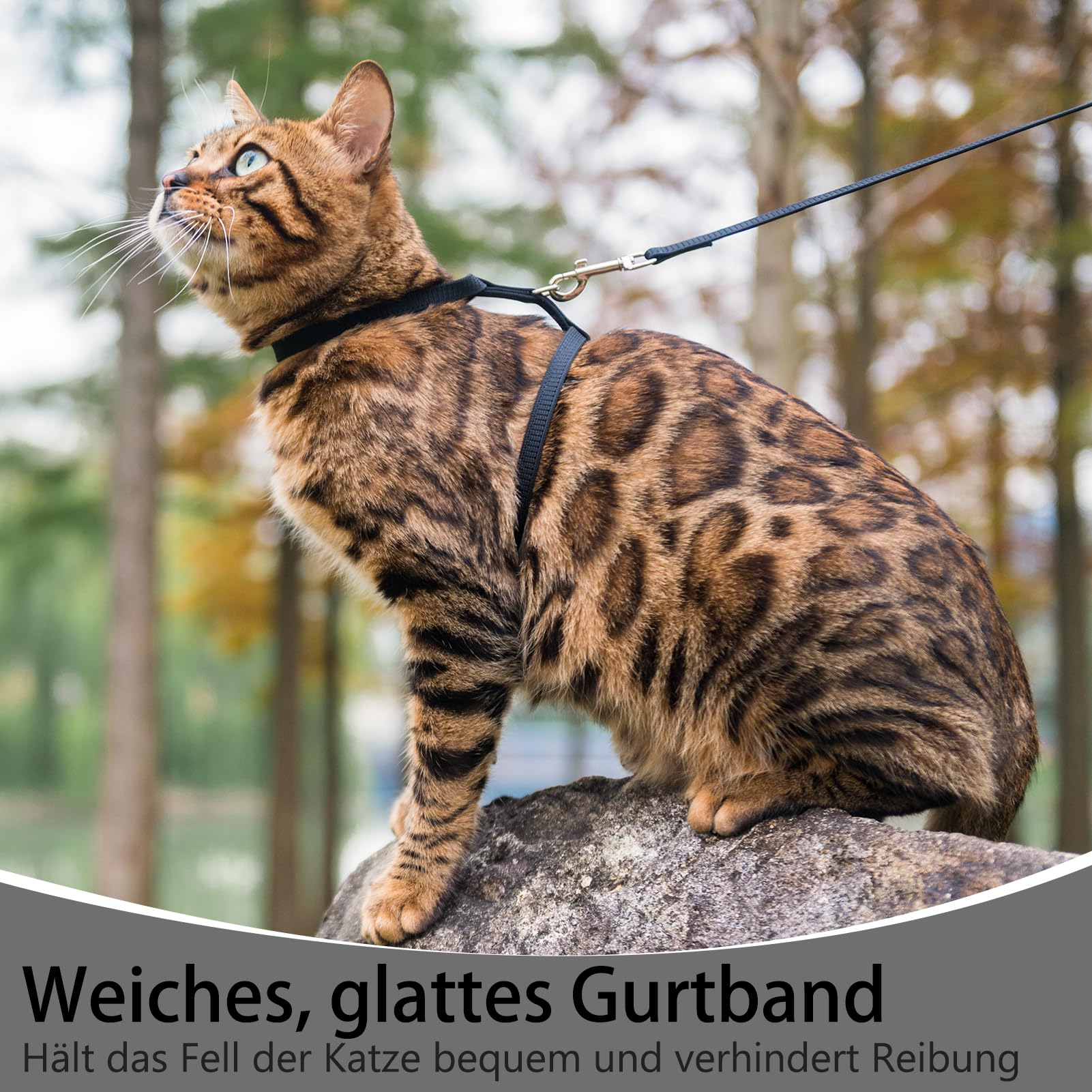 PUPTECK size-chart-measurements helps choose the right adjustable fit.