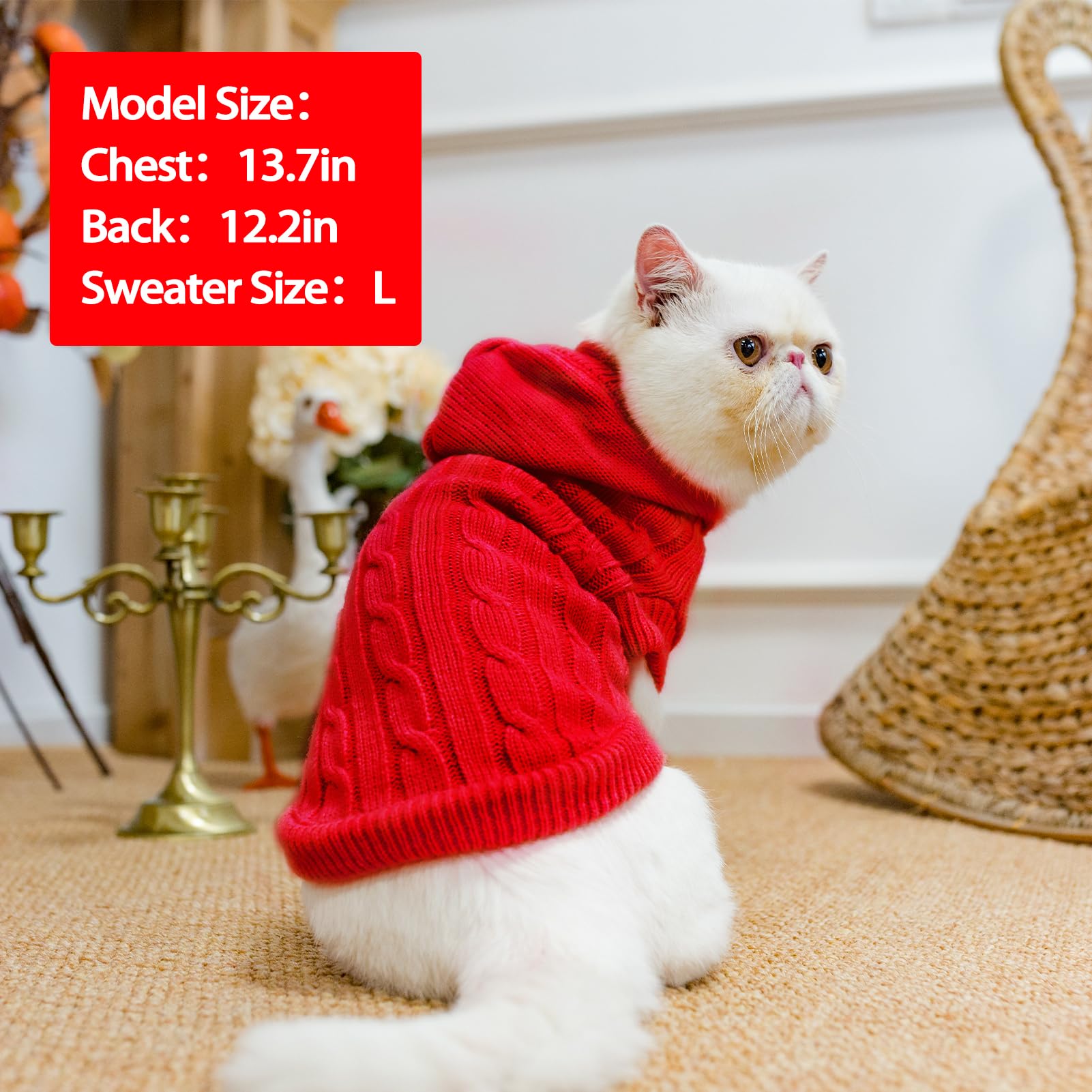 PUPTECK size measurement guide showing chest and back lengths