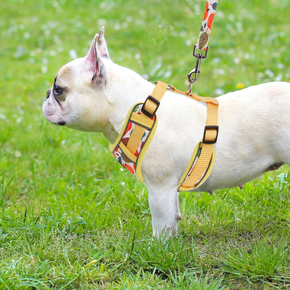 PUPTECK harness size chart image helps choose the right fit.