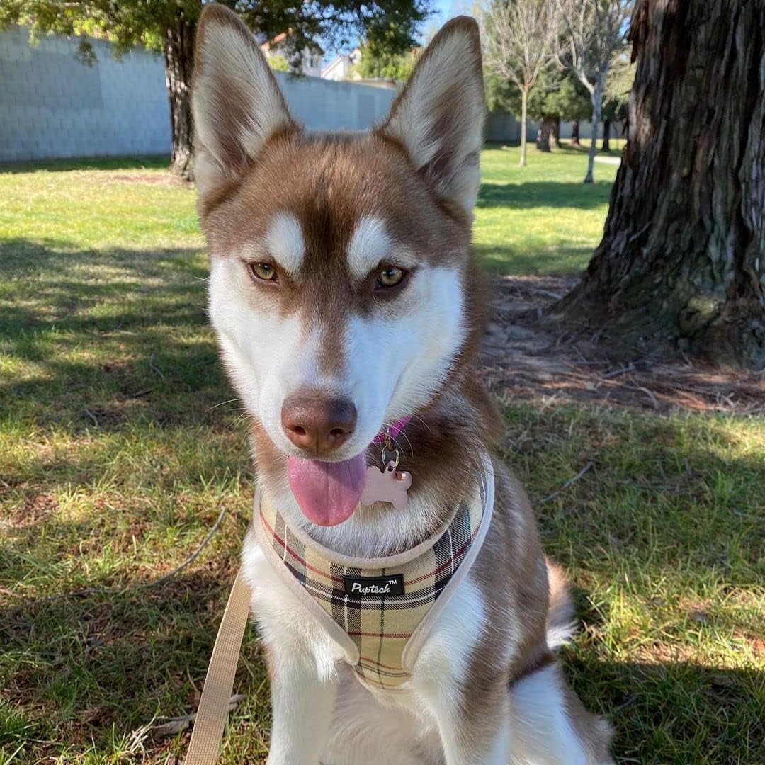 PUPTECK soft polyester edges reduce rubbing for gentle wear.