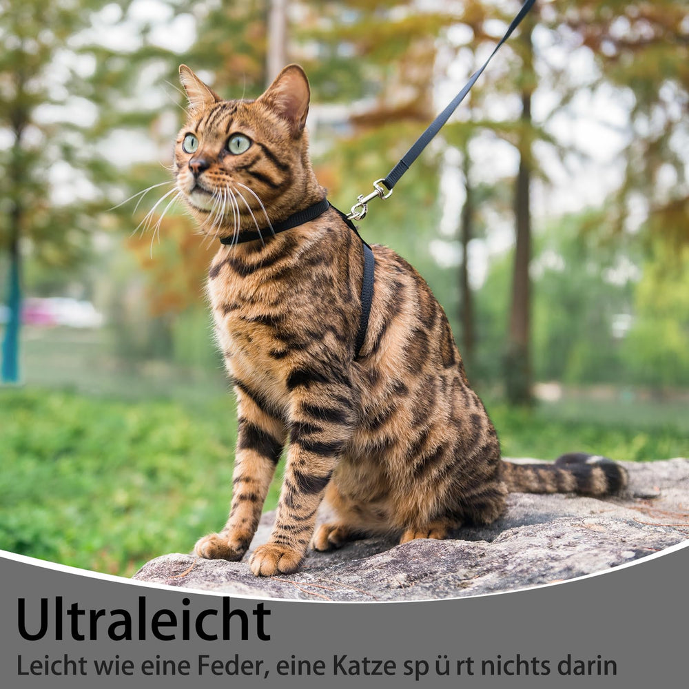 PUPTECK soft-polyester-fabric harness offers gentle touch on fur.