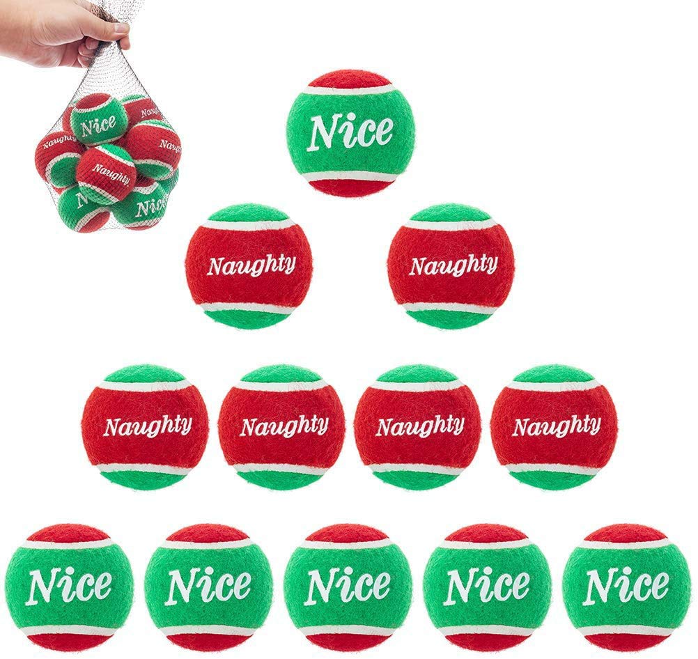 PUPTECK squeaky tennis ball 12-pack promotes easy fetch for dogs.