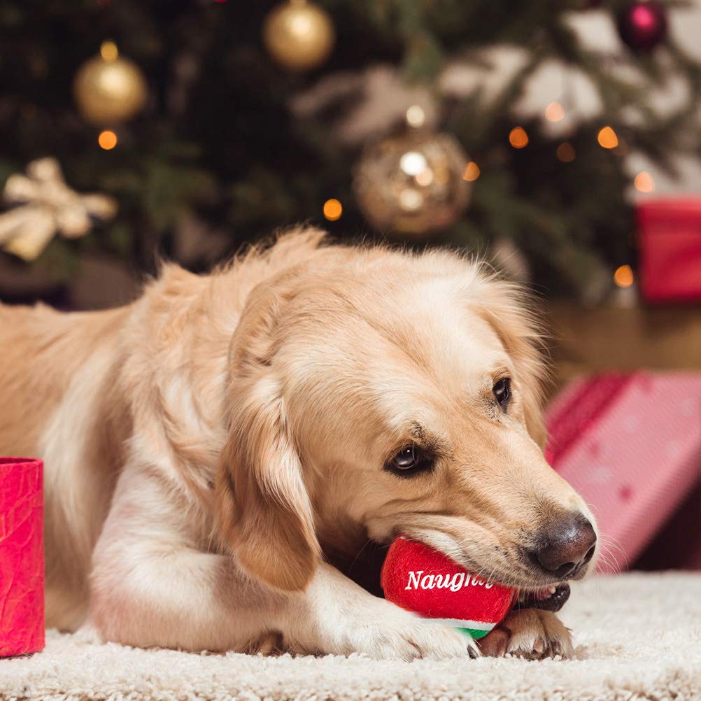 PUPTECK twelve-ball pack keeps playtime ready to go.