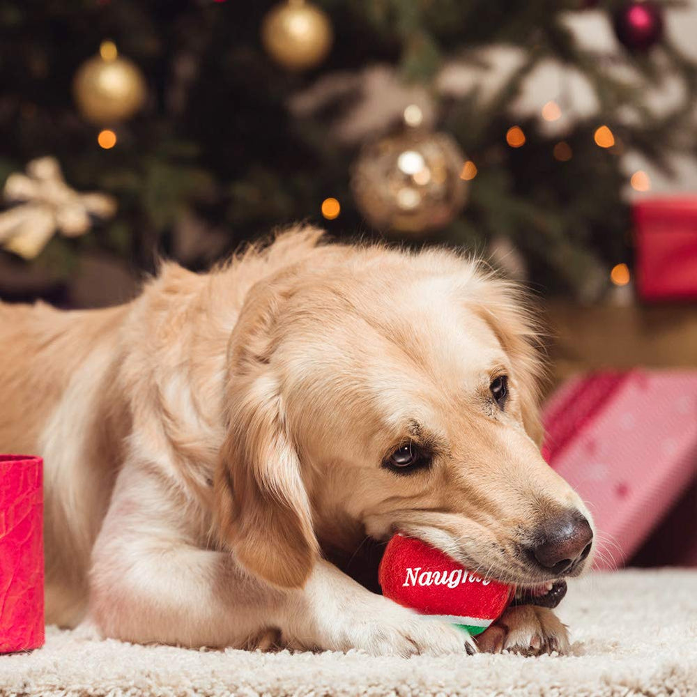 PUPTECK twelve-ball pack keeps playtime ready to go.