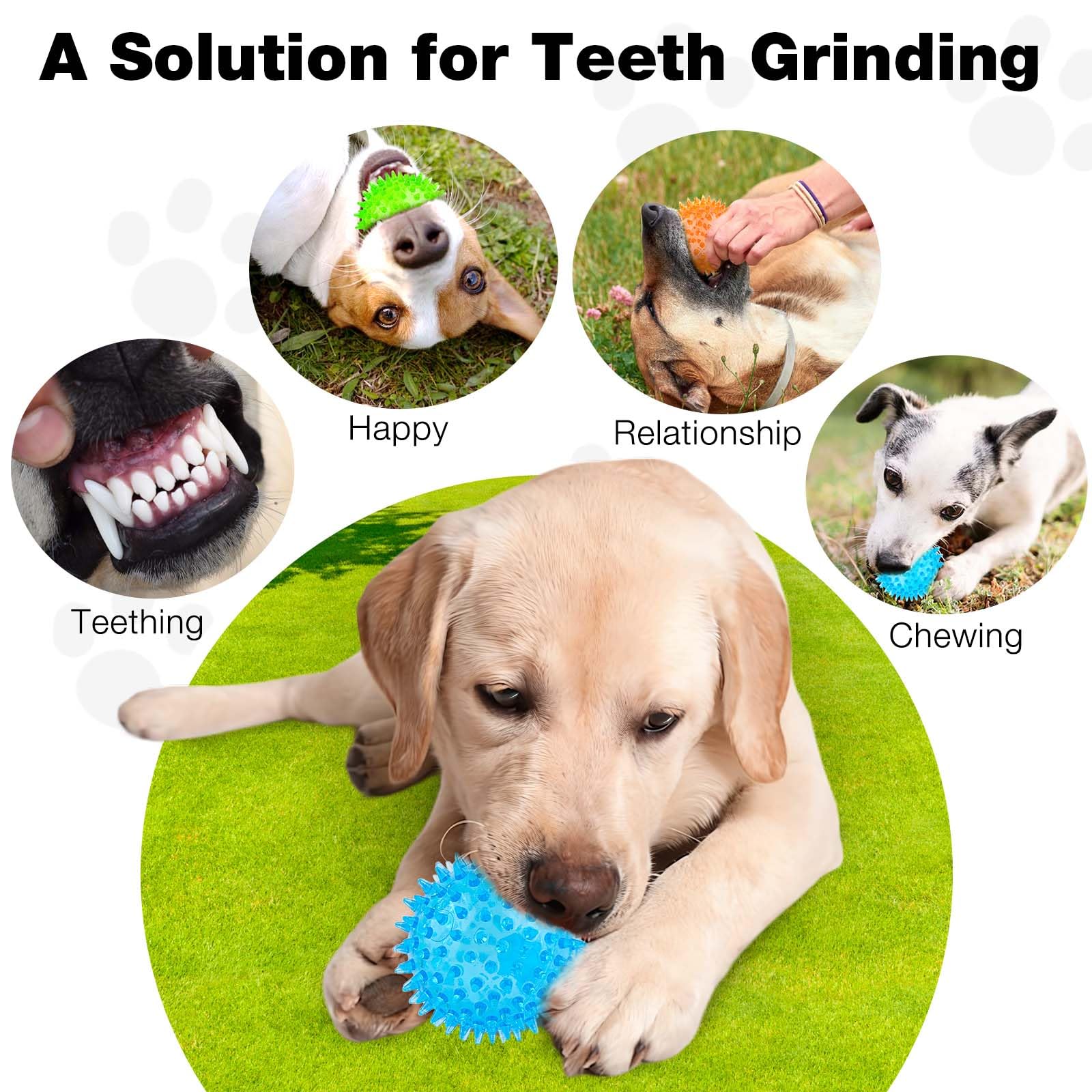 PUPTILY colorful-indoor-outdoor-dog-ball-pack: versatile fun indoors or out.