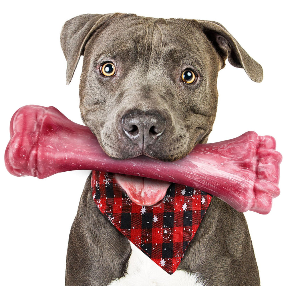 Puptily indestructible dog bone large front view supports stress relief for heavy chewers