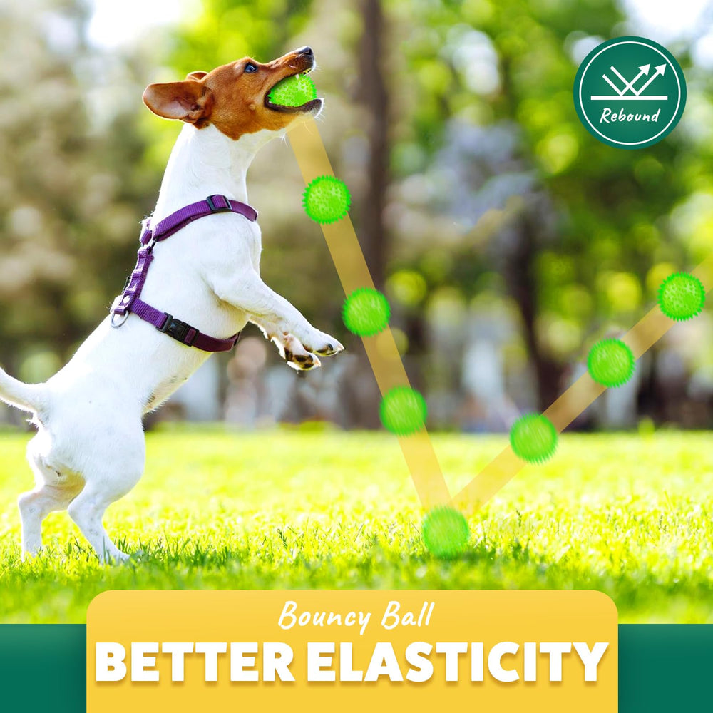 PUPTILY indoor-outdoor durability supports long-lasting dog sessions