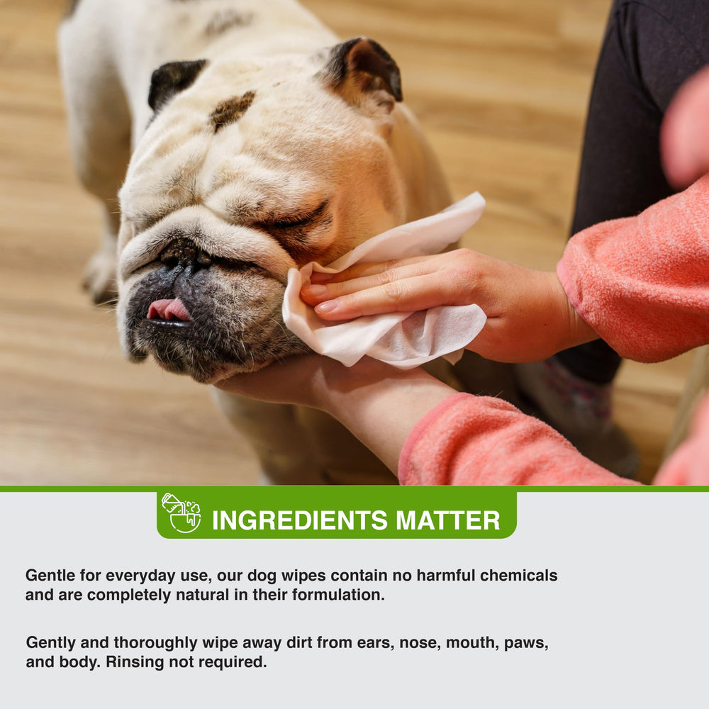 Pure and Natural Pet grooming wipes chemical-free label communicates safe, eco-friendly ingredients