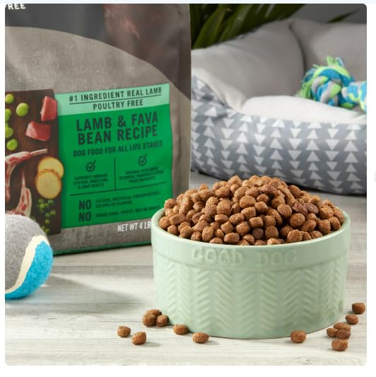 Pure Balance Lamb and Fava Bean kibble closeup, grain-free formula ideal for dogs with sensitive stomachs.