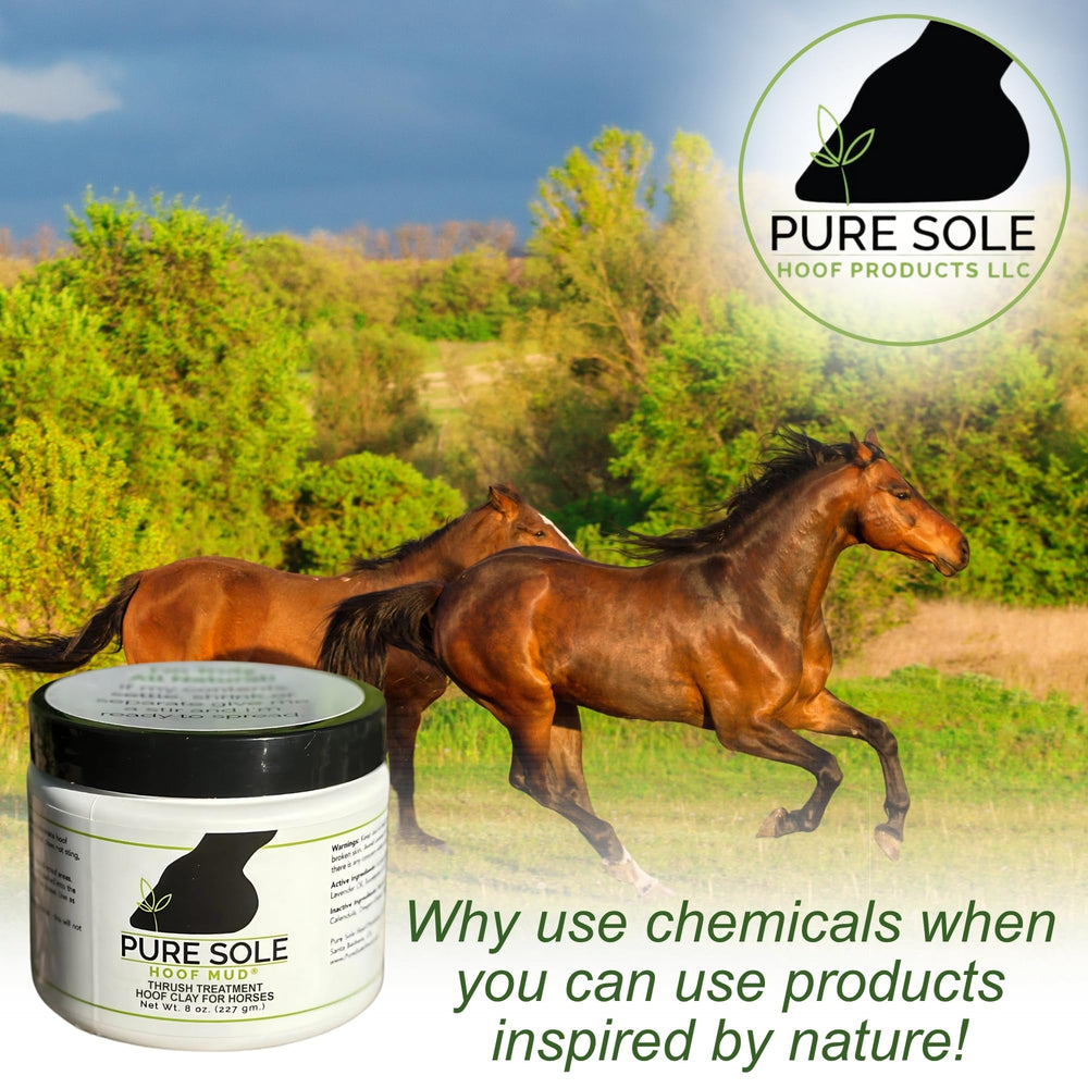 Pure Sole Hoof Clay in dry and wet conditions offers lasting hoof protection.