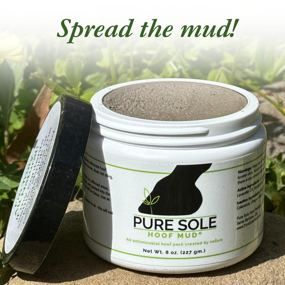 Pure Sole Hoof Clay under pad or shoe provides cushioning and hoof protection.
