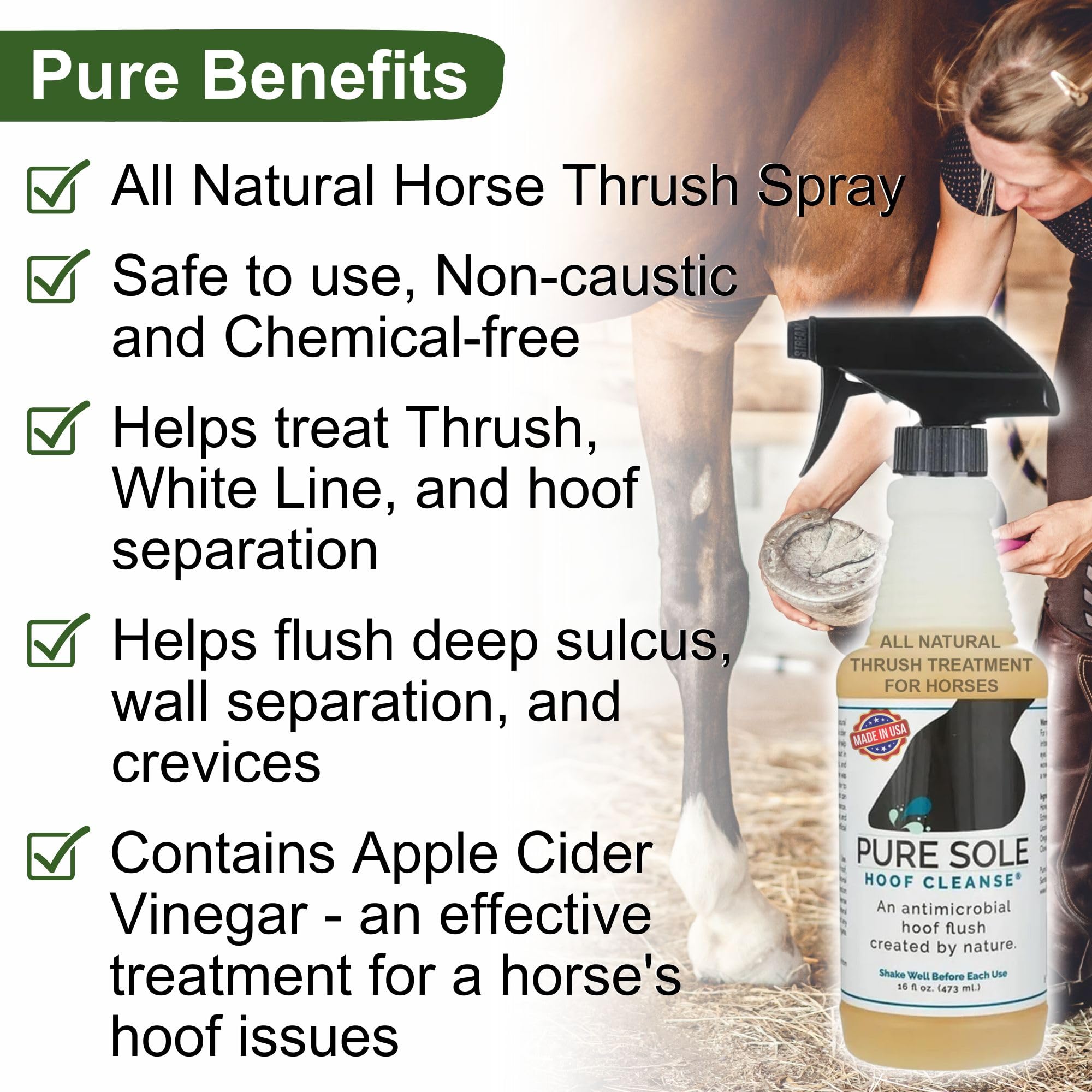 Pure Sole hoof cleaner applied to central sulcus area.