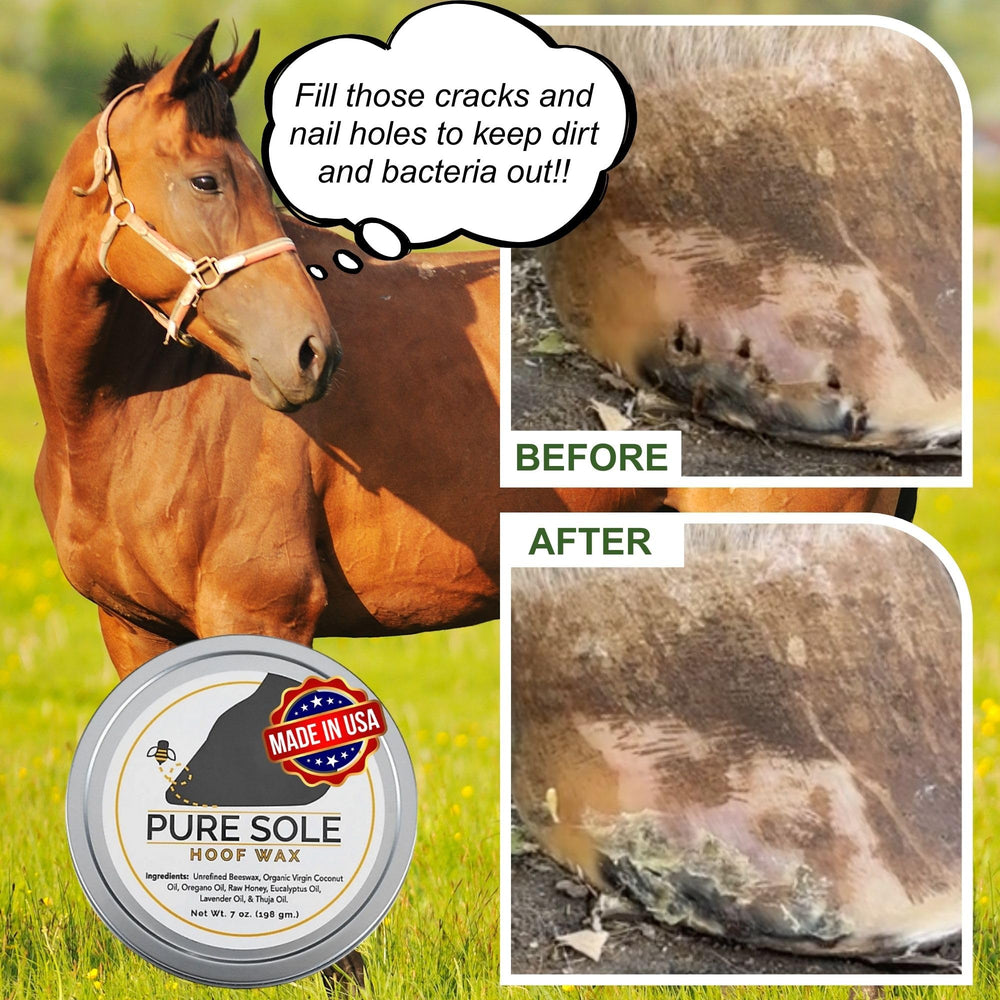 Close-up of Pure Sole Hoof Wax’s beeswax base and smooth consistency.