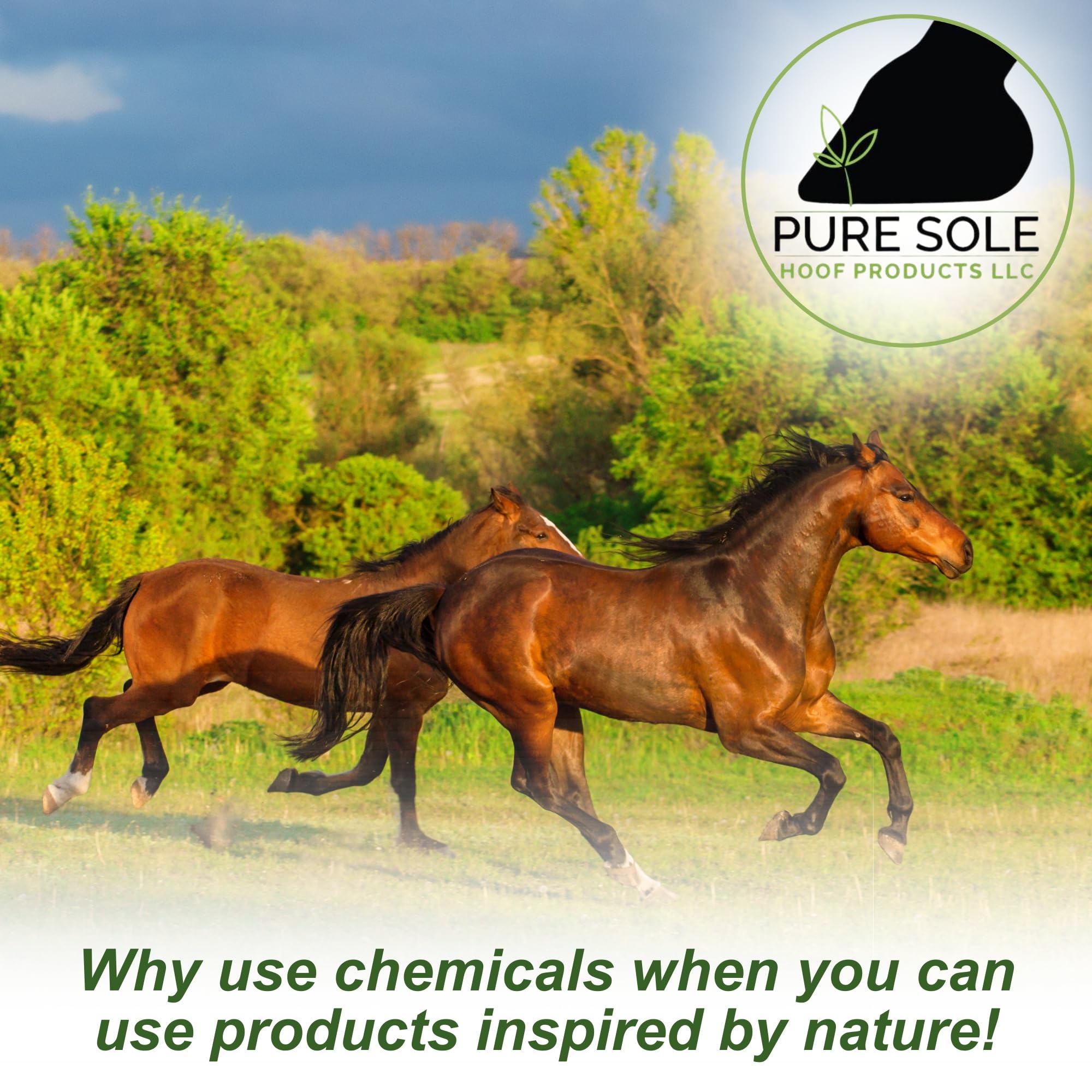 Pure Sole bottle demonstrates no harsh chemicals or dyes.