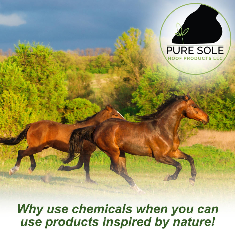 Pure Sole bottle demonstrates no harsh chemicals or dyes.