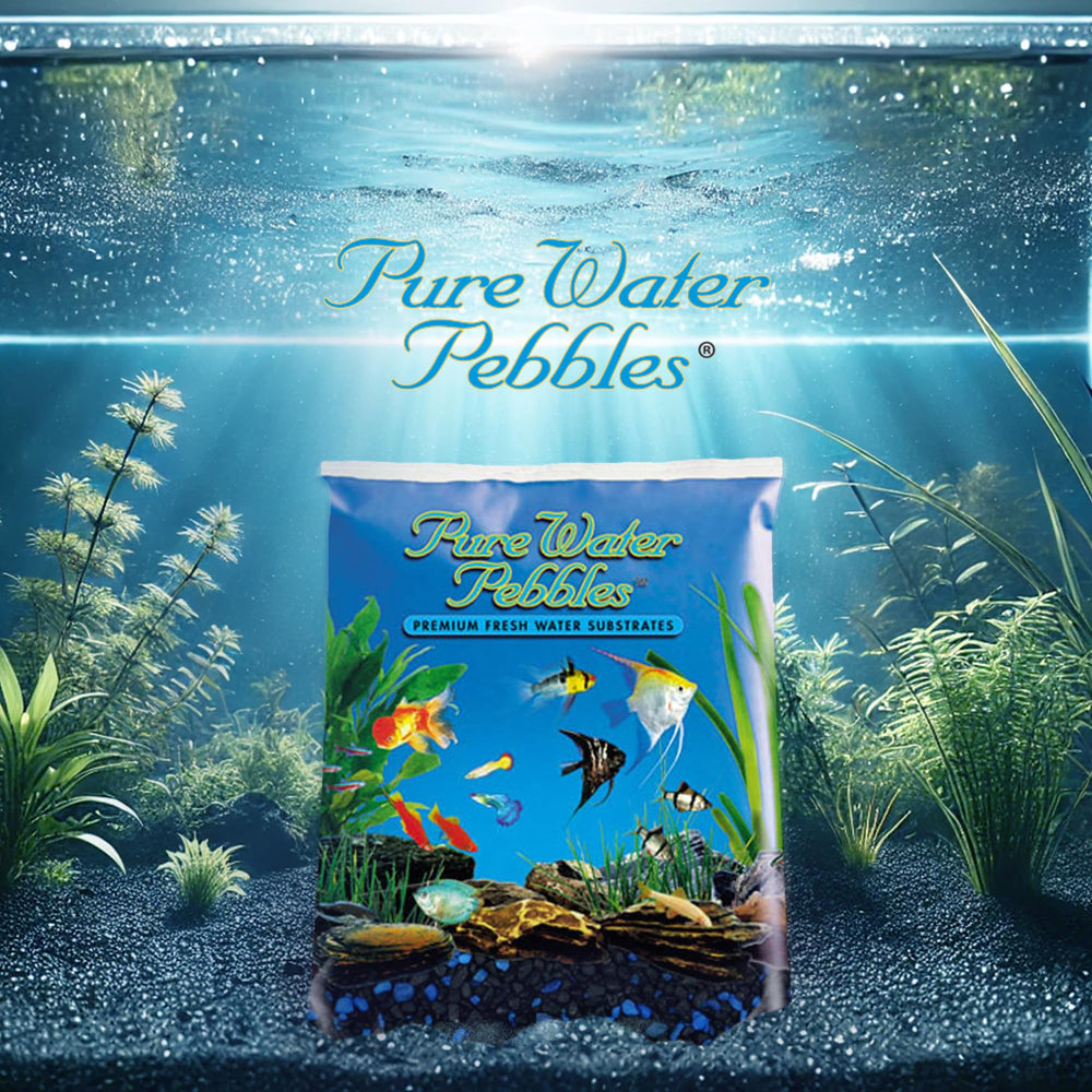 Pure Water Pebbles Midnight Glo add dark elegance to terrariums.