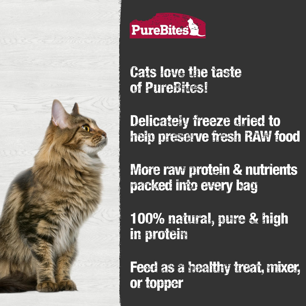 Cat enjoying PureBites Chicken Heart treat as a healthy snack.