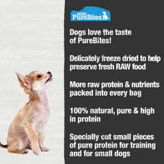 PureBites Mini Lamb freeze-dried trainer in hand—easy toppers and tasty rewards.