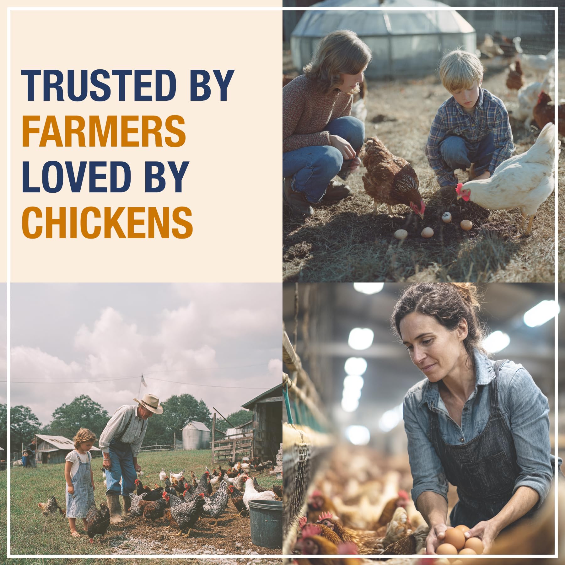 PureGrubs BSFL larvae energy-boosting treat—crispy texture chickens love.